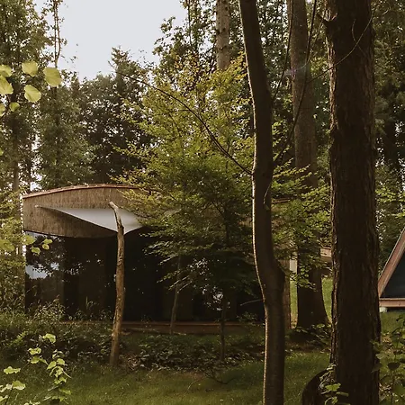 Forest Blagus *